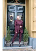 Feel Fashion Feel Pant. Amany Bord.