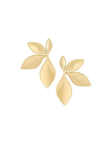 Ellen Beekmans Ellen Beekmans OOR 40214