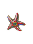 Ellen Beekmans Ellen Beekmans Br 9964 Zeester Broche