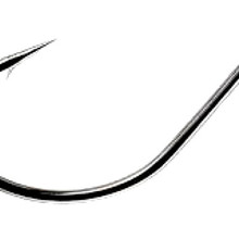 Worm 39