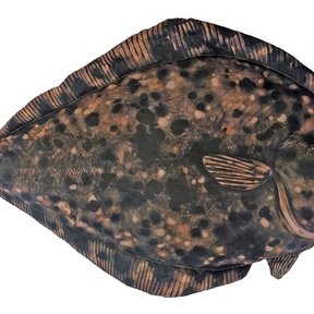 Kussen met Heibotprint - Op=Op!!!