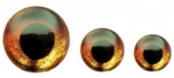 FISH SKULL - Living Eyes - Fire FISH SKULL - Living Eyes - Fire