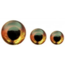 FISH SKULL - Living Eyes - Fire