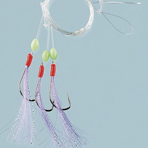 Deep Sea Rig - Kabeljauw - Makreel