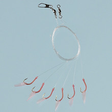 Sabiki Heringsystem Rig