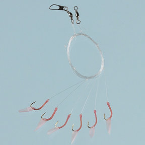 Sabiki Heringsystem Rig