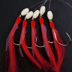 Deep Sea Rig - Kabeljauw - Makreel