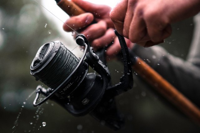 PENN - Rival Longcast Black