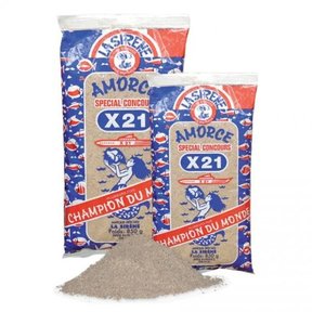 X21 Amorce