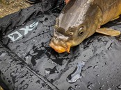 STRATEGY - XS Unhooking Mat Lite