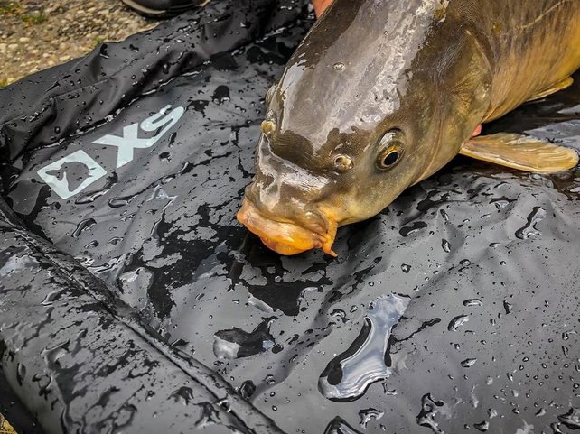 STRATEGY - XS Unhooking Mat Lite