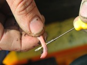 GURU - Speed Needle & Speedstops