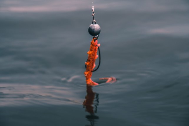 BERKLEY - Fusion19 Bottom Weights