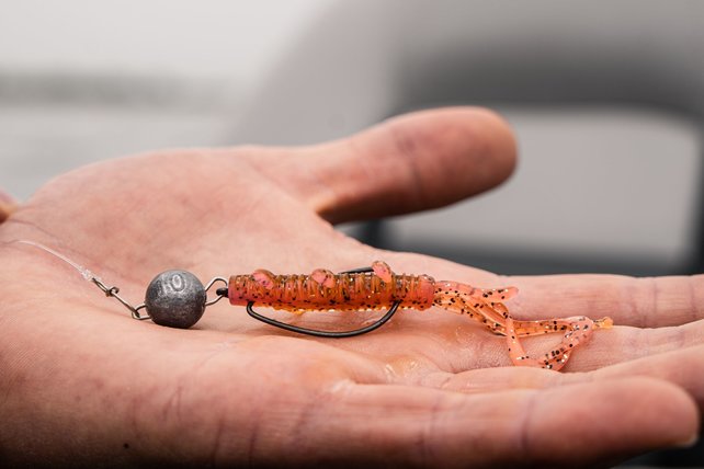 BERKLEY - Fusion19 Bottom Weights