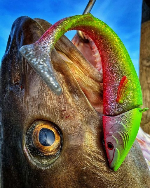 BERKLEY - PowerBait Power Herring 180gr Op=Op