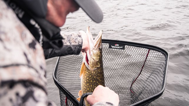 ABU GARCIA - Beast™ Landing Net ABU GARCIA - Beast™ Landing Net