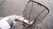 ABU GARCIA - Beast™ Landing Net ABU GARCIA - Beast™ Landing Net