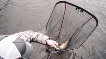 Beast™ Landing Net