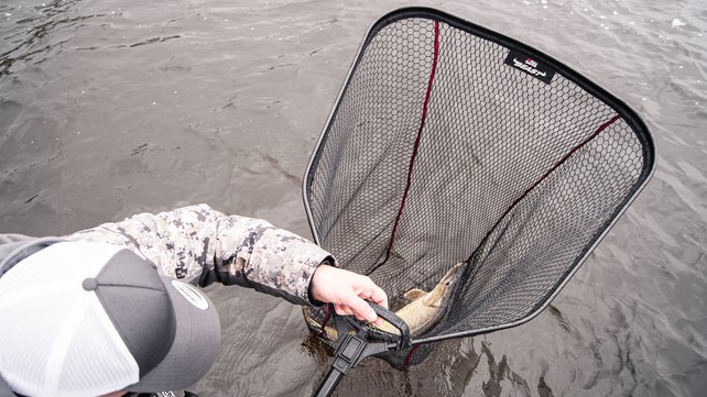 ABU GARCIA - Beast™ Landing Net ABU GARCIA - Beast™ Landing Net