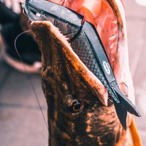 Zilla Jointed Glider