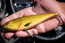 Zilla Glider 10cm 18g