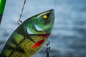BERKLEY - Zilla Lipless  13,5cm BERKLEY - Zilla Lipless  13,5cm