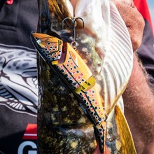 Zilla Swimmer 12cm