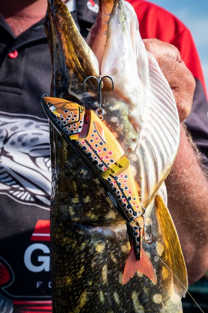 BERKLEY - Zilla Swimmer  12cm