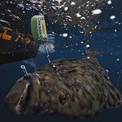 BERKLEY - Baitfish Rigs BERKLEY - Baitfish Rigs