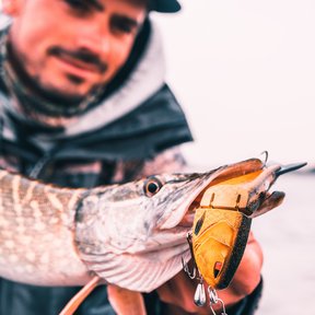 Zilla Jointed Glider