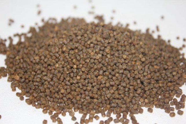 LE GOUESSANT - Carpe Extrudé "Purple Pellets" LE GOUESSANT - Carpe Extrudé "Purple Pellets"