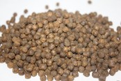 LE GOUESSANT - Carpe Extrudé "Purple Pellets" LE GOUESSANT - Carpe Extrudé "Purple Pellets"