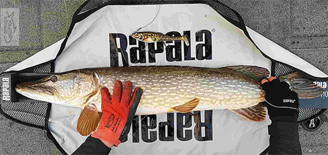 RAPALA - Weigh & Release Mat