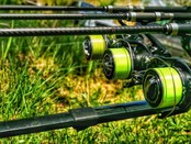 KATRAN - Synapse Neon Line