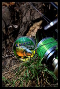 KATRAN - Crystal Clear Taper Mono Shock