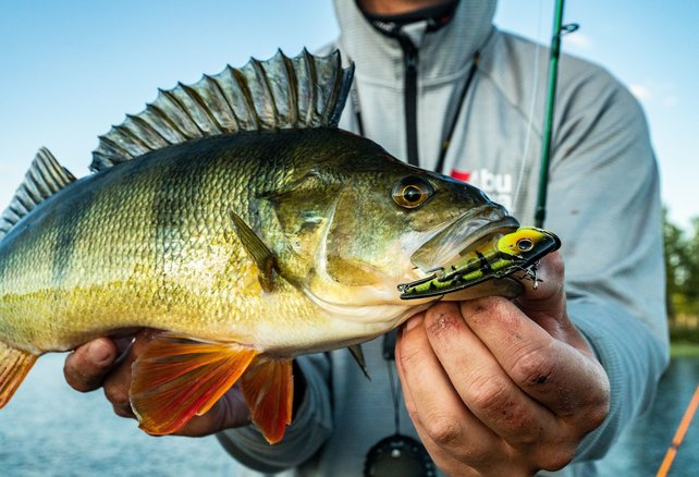 BERKLEY - Rattling Powerblade 10gr BERKLEY - Rattling Powerblade 10gr