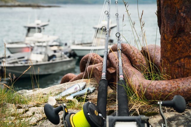 PENN - Carnage Popping