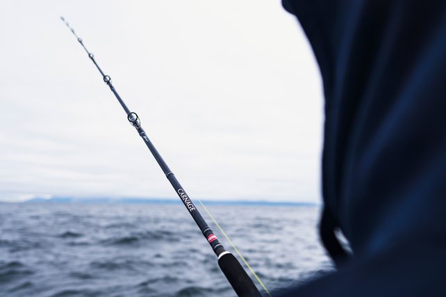 PENN - Carnage Popping