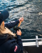 PENN - Regiment III Pro Boat Laatste Stuks  2,13m  12-20lb