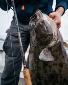 PENN - Regiment III Pro Boat Laatste Stuks  2,13m  12-20lb