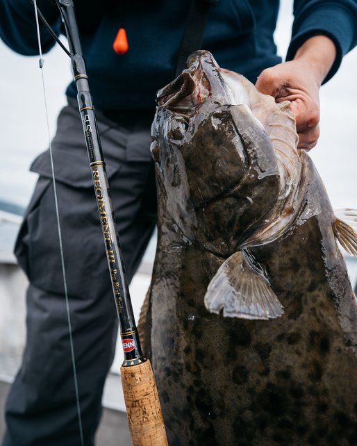 PENN - Regiment III Pro Boat Laatste Stuks  2,13m  12-20lb