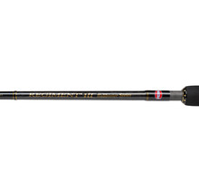 PENN - Regiment III Halibuster  30-50lb Laatste Stuks