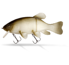 QUANTUM - Freak Of Nature Hybrid Tench Shiner