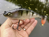 QUANTUM - Freak Of Nature Swimbait Perch QUANTUM - Freak Of Nature Swimbait Perch