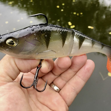 Freak Of Nature Swimbait Perch