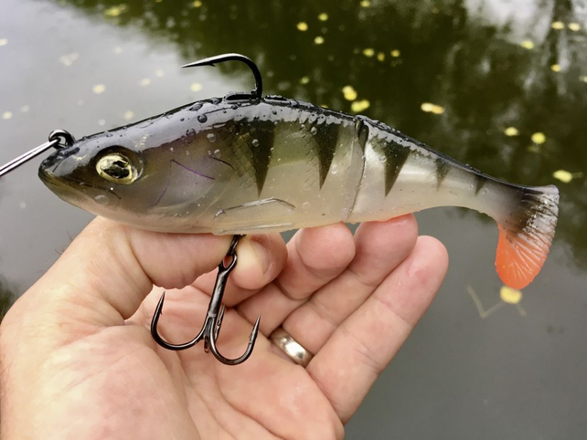 QUANTUM - Freak Of Nature Swimbait Perch QUANTUM - Freak Of Nature Swimbait Perch
