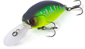 QUANTUM - Fat Minnow DR QUANTUM - Fat Minnow DR