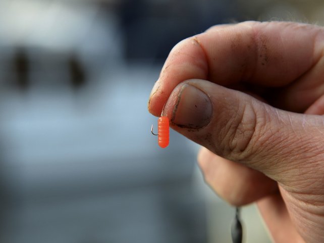 CRESTA - Spaghetti Worms CRESTA - Spaghetti Worms