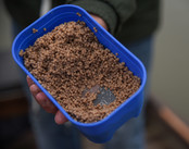 CRESTA - Baitstrainer