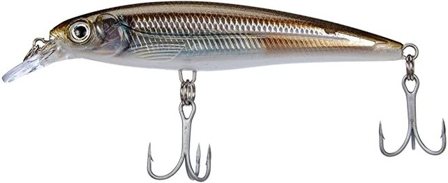 RAPALA - X-Rap SXR-10 Saltwater